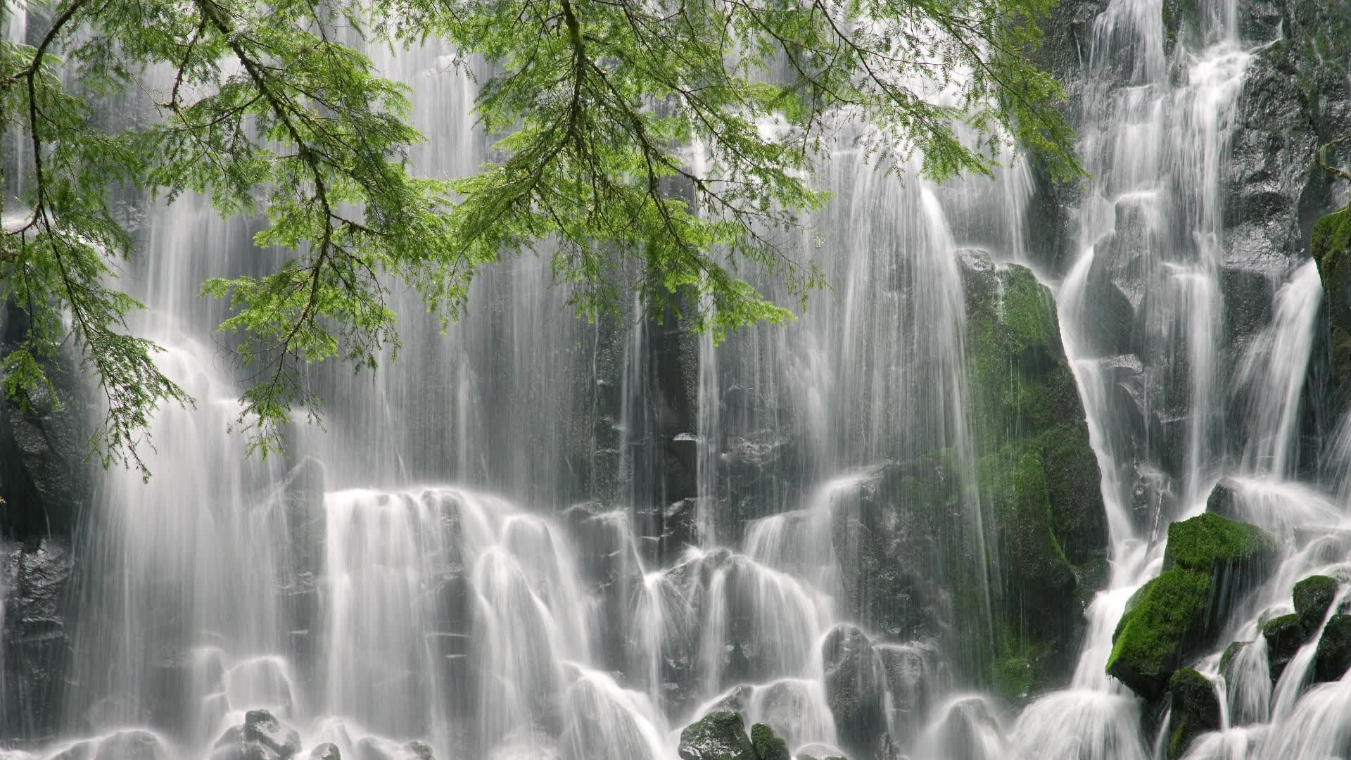 世界举重青训营康复训练案例征集启动,世界举重比赛
