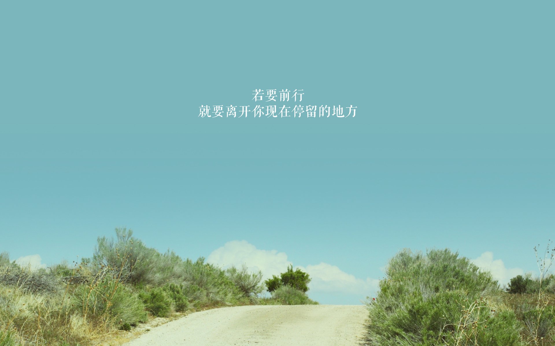 世界乒乓球联赛青训营学员成长档案发布,乒乓球青少年世界排名